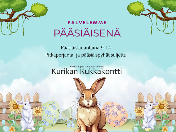 Palvelemme p&auml;&auml;si&auml;isen&auml;